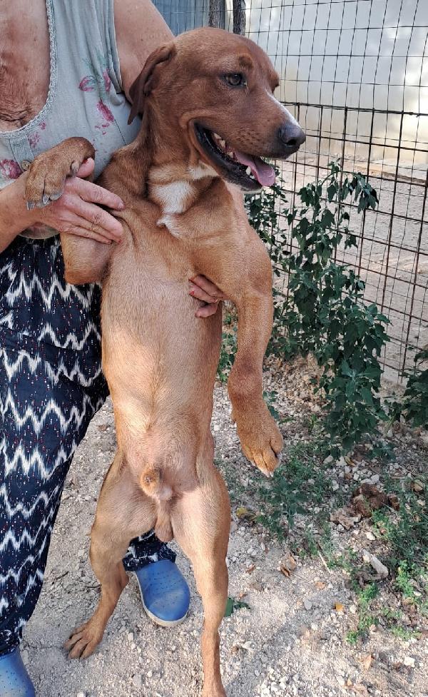MA QUESTO DOLCE SORRISO? Foto 2